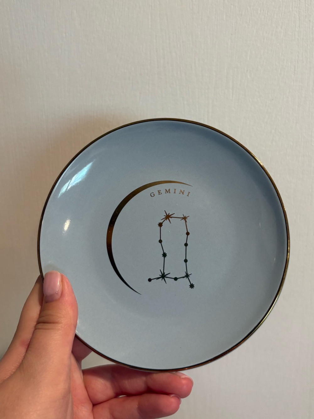 Gemini Plate/Catch All Tray